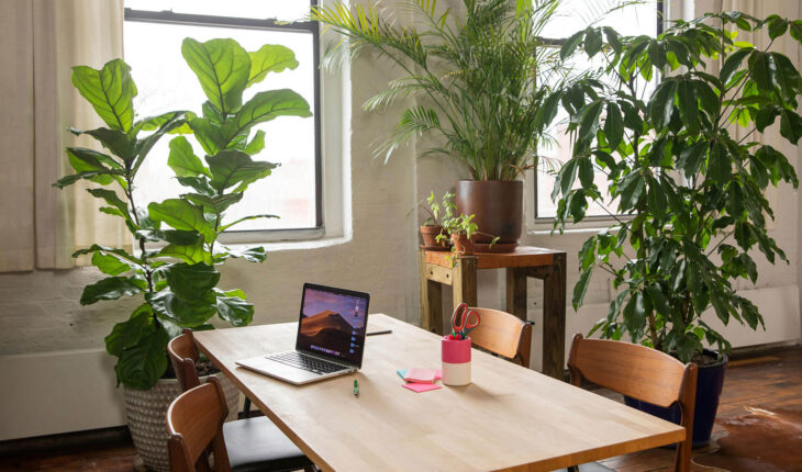 GoWork